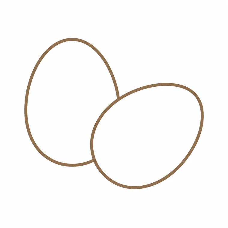 Simple educational illustration of eggs